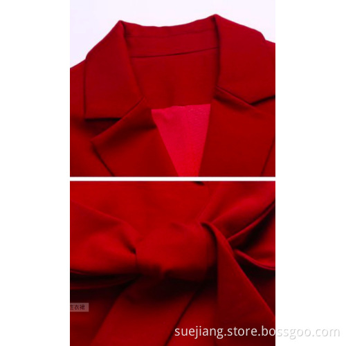 Elegant Beautiful Pencil Dresses Women Wear With Belt